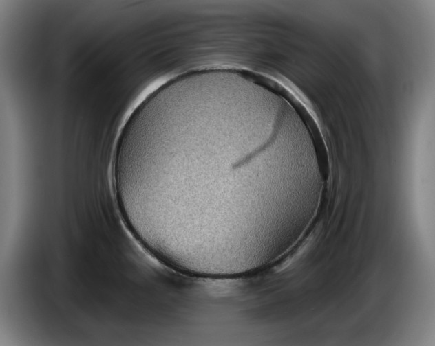 X0000085261293200703301824