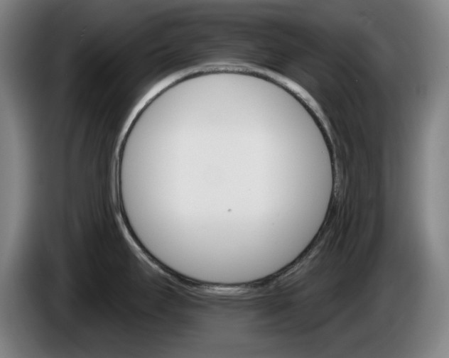 X0000085261295200703301824