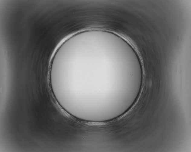 X0000085261296200703301824