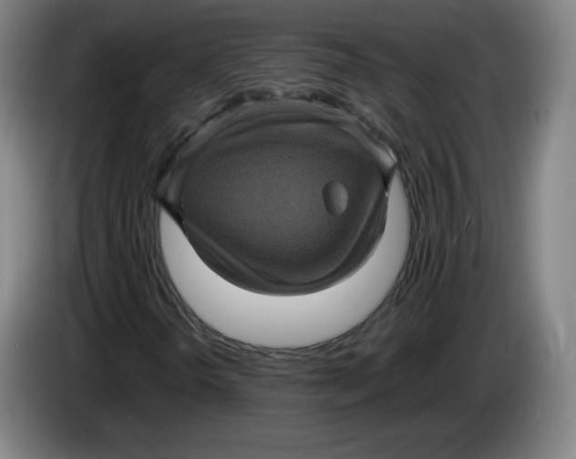 X0000085261298200703301824