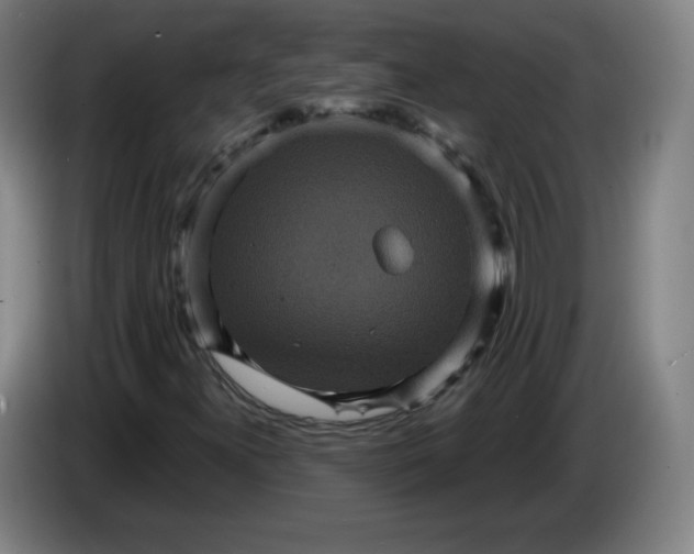 X0000085261300200703301824