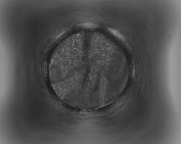 X0000085261301200703301824