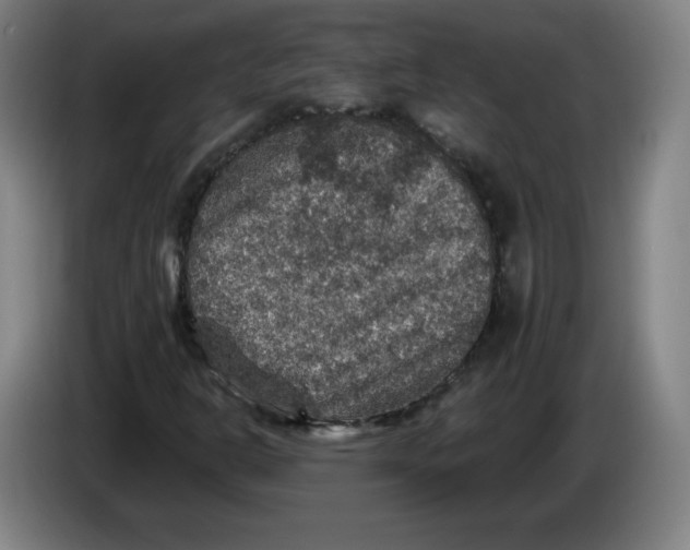 X0000085261302200703301824