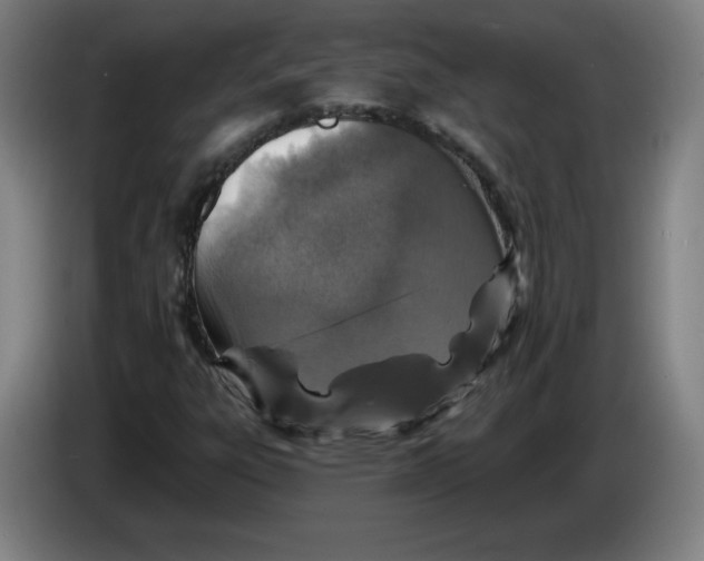 X0000085261303200703301824