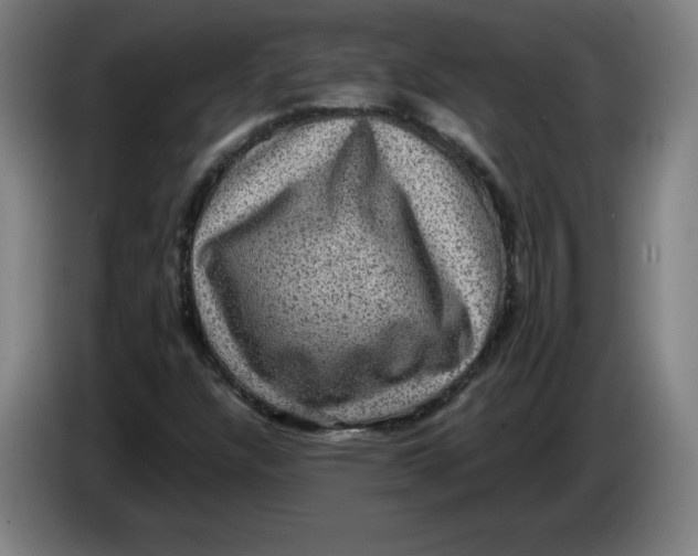 X0000085261304200703301824