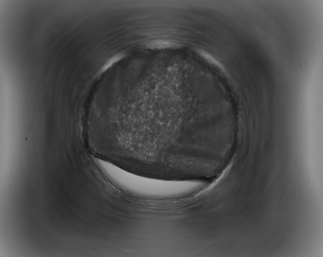 X0000085261305200703301824