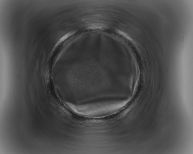 X0000085261306200703301824