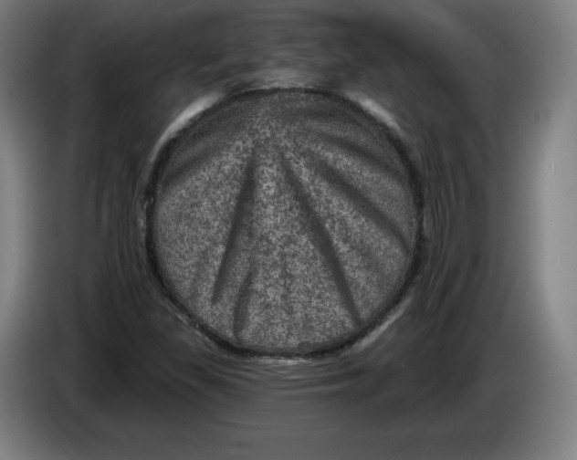 X0000085261309200703301824