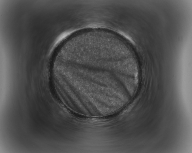 X0000085261311200703301824