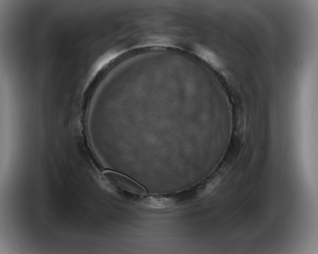 X0000085261312200703301824