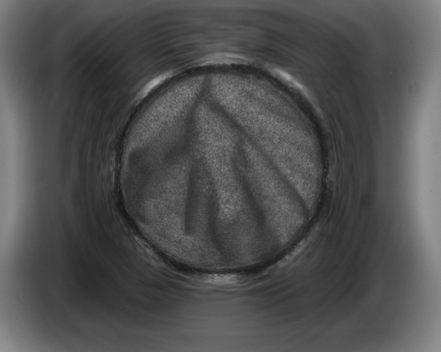 X0000085261313200703301824