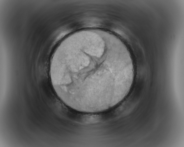 X0000085261314200703301824