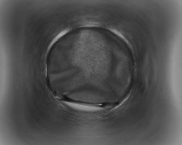 X0000085261317200703301824