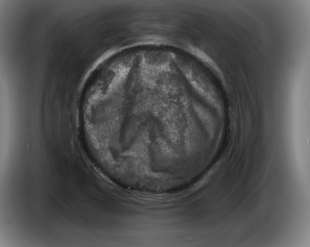 X0000085261318200703301824