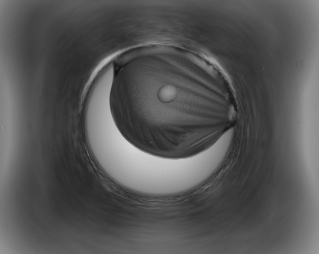 X0000085261320200703301824