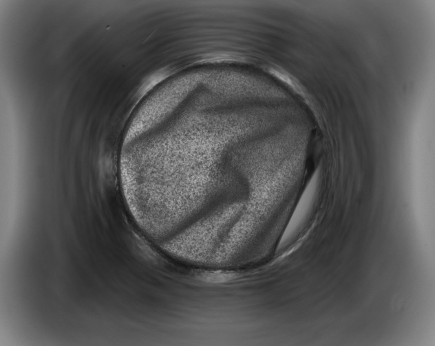 X0000085261321200703301824