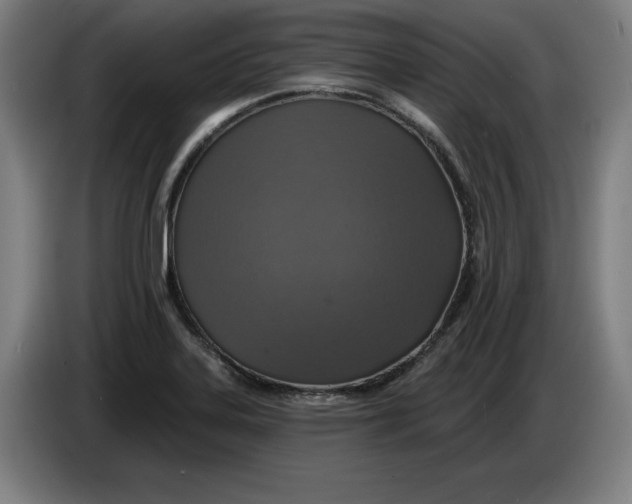 X0000085261323200703301824