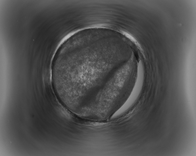 X0000085261324200703301824