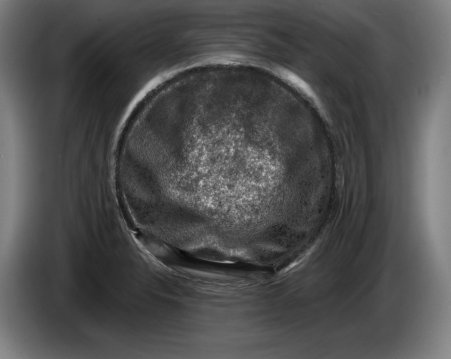 X0000085261326200703301824