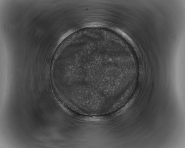 X0000085261329200703301824