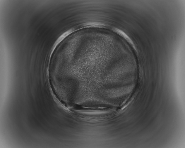 X0000085261330200703301824