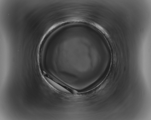 X0000085261334200703301824