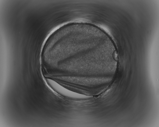 X0000085261335200703301824