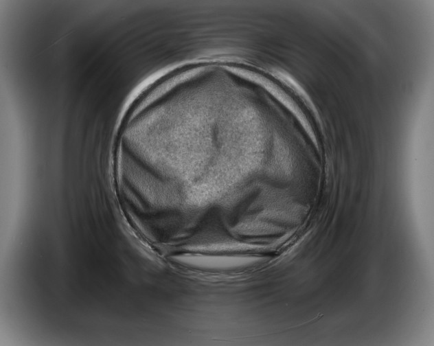 X0000085261336200703301824