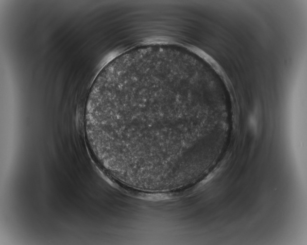 X0000085261337200703301824