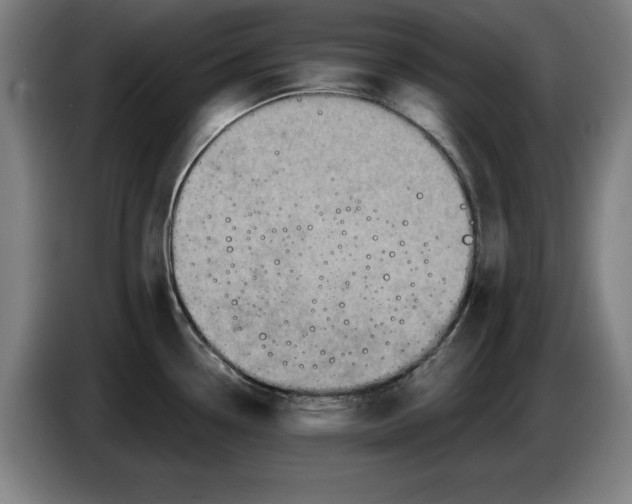 X0000085261338200703301824