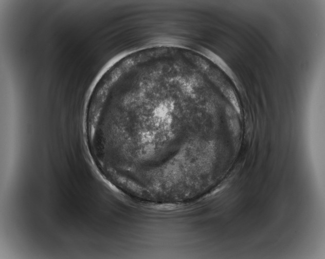 X0000085261339200703301824