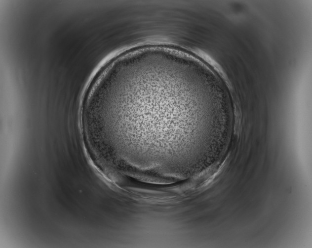 X0000085261342200703301824