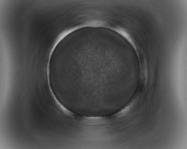 X0000085261343200703301824