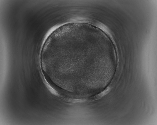 X0000085261344200703301824