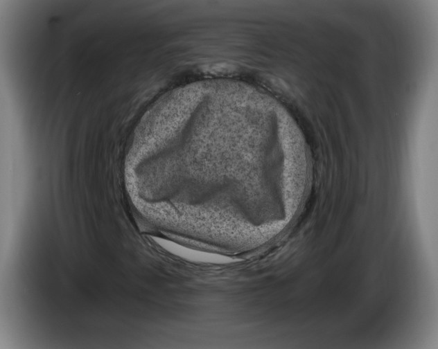 X0000085261345200703301824