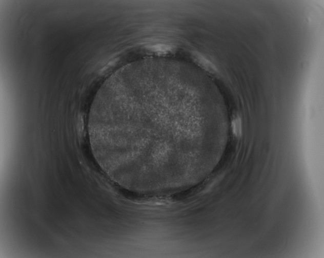 X0000085261347200703301824