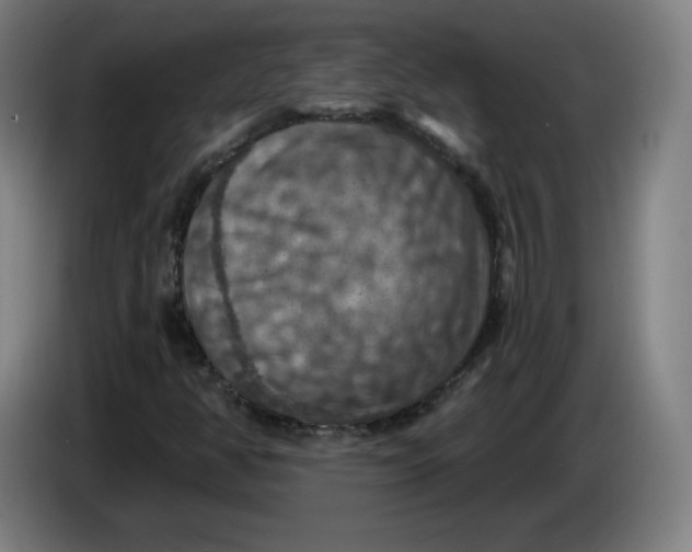 X0000085261350200703301824