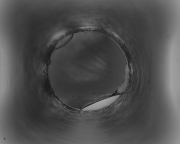 X0000085261351200703301824