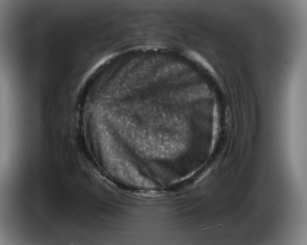 X0000085261352200703301823