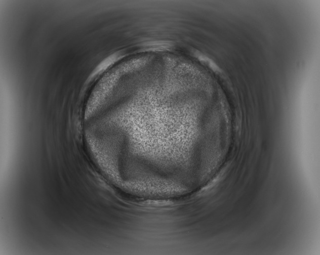 X0000085261354200703301823