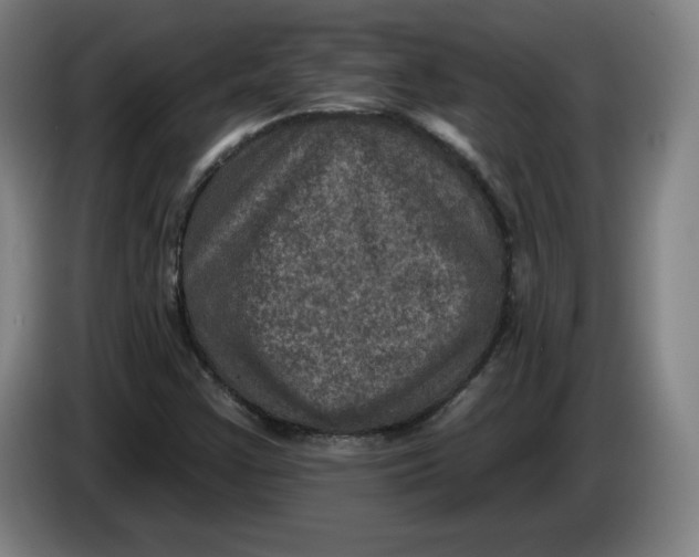 X0000085261355200703301823