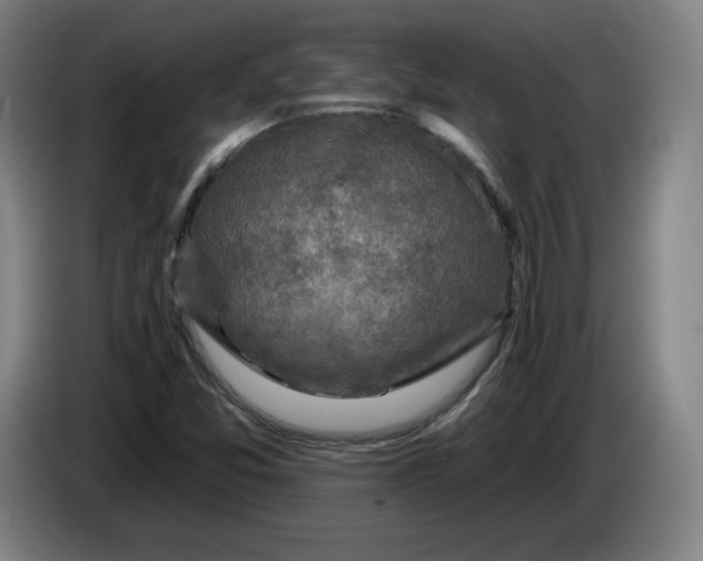 X0000085261357200703301823