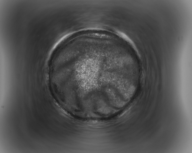 X0000085261360200703301823