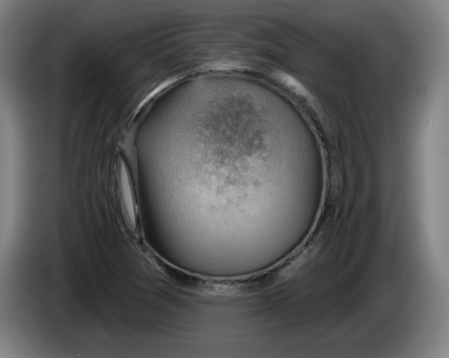 X0000085261361200703301823