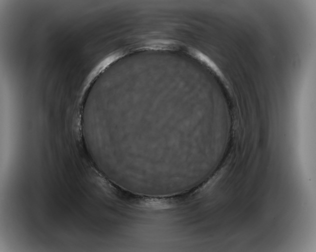 X0000085261362200703301823