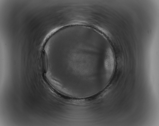 X0000085261363200703301823