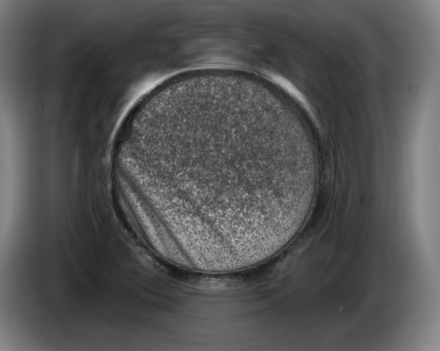 X0000085261364200703301823