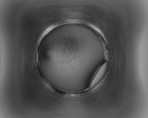 X0000085261365200703301823