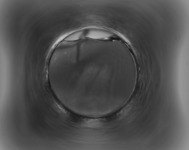 X0000085261367200703301823