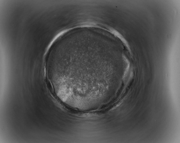 X0000085261368200703301823